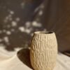 Vaso Tereza Cru