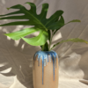 Vaso Zena Mirtilo