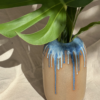 Vaso Zena Mirtilo