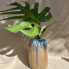 Vaso Zena Mirtilo
