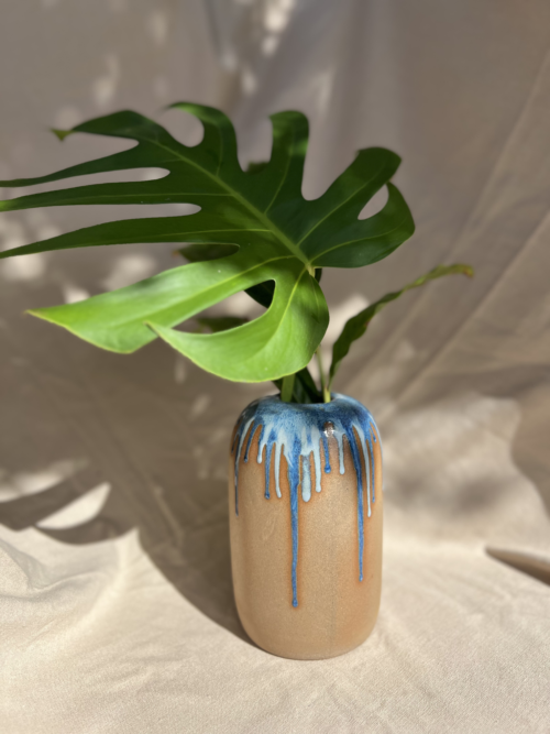 Vaso Zena Mirtilo