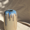 Vaso Zena Mirtilo