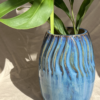 Vaso Tereza Mirtilo