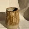 Vaso Tereza Avelã