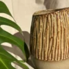 Vaso Tereza Avelã